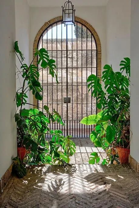 Alfaro Historic Aparment Apartment Seville Spain